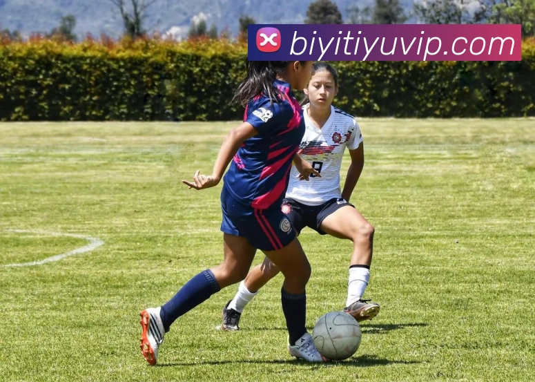 App Interface Preview