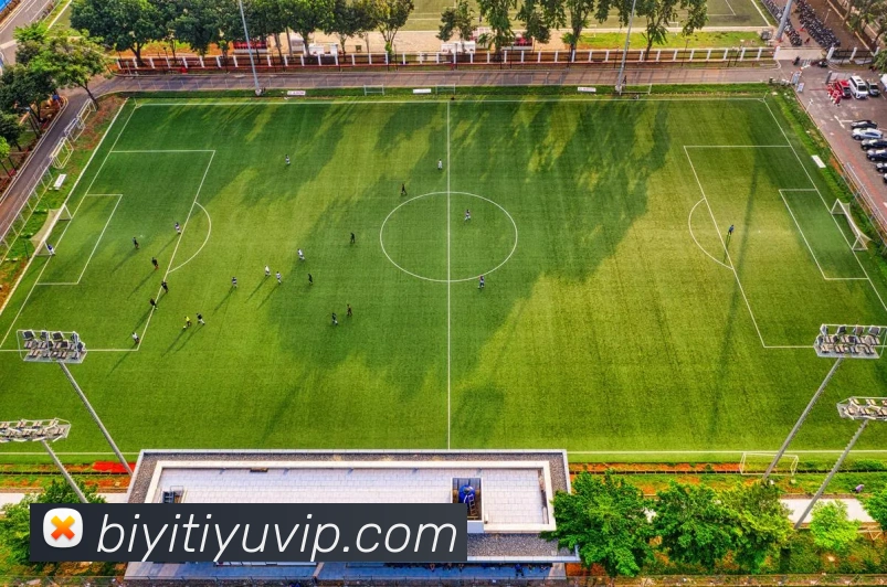 必一体育APP 封面图