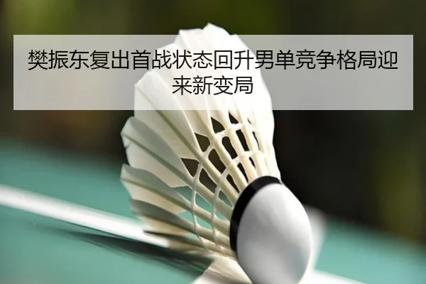 樊振东复出首战状态回升男单竞争格局迎来新变局（BSports）